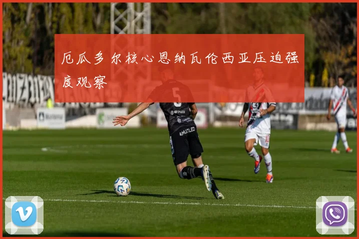 厄瓜多尔核心恩纳瓦伦西亚压迫强度观察