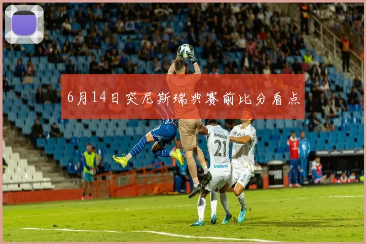 6月14日突尼斯瑞典赛前比分看点