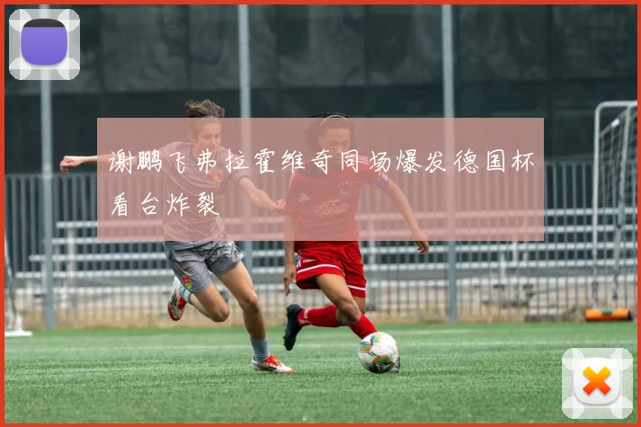 谢鹏飞弗拉霍维奇同场爆发德国杯看台炸裂
