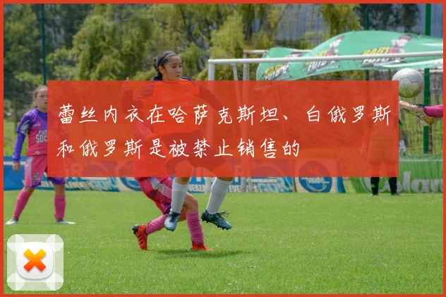 蕾丝内衣在哈萨克斯坦、白俄罗斯和俄罗斯是被禁止销售的