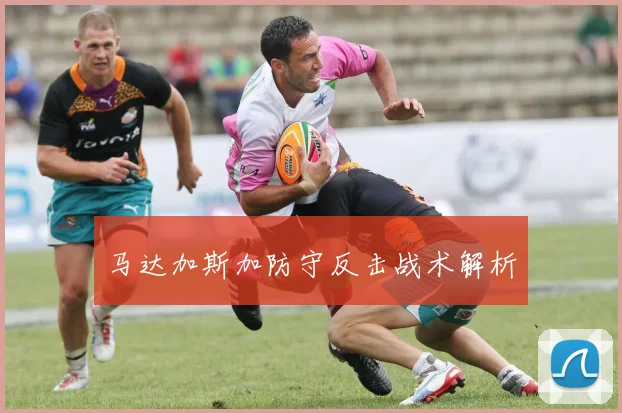 马达加斯加防守反击战术解析