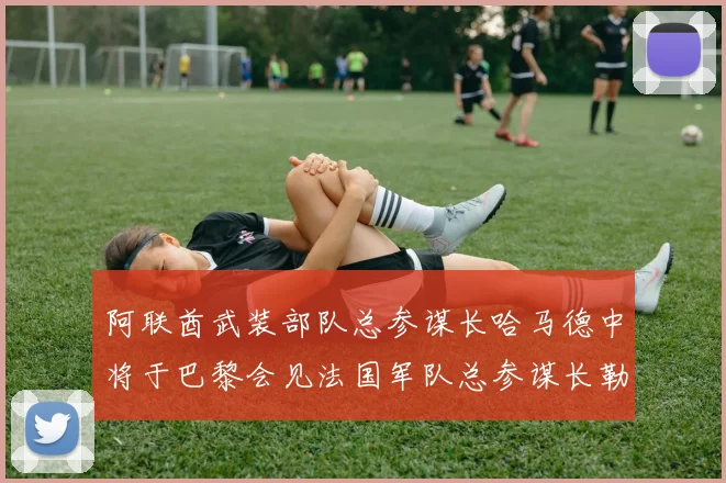 阿联酋武装部队总参谋长哈马德中将于巴黎会见法国军队总参谋长勒库安特