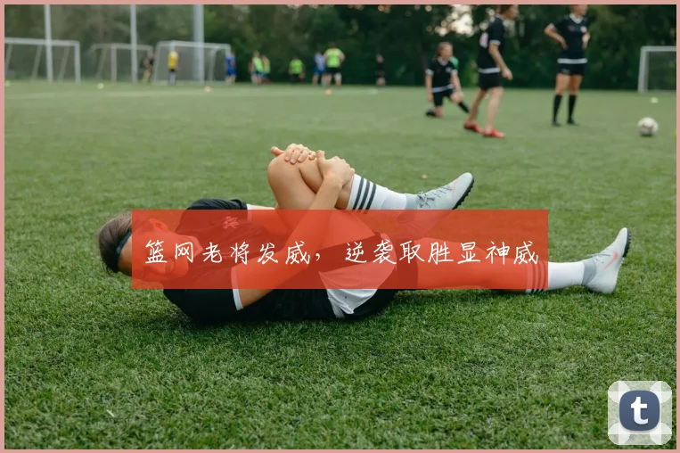 篮网老将发威，逆袭取胜显神威