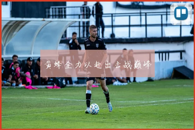 黄蜂全力以赴出击战巅峰