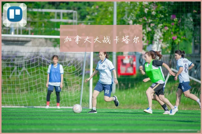 加拿大大战卡塔尔