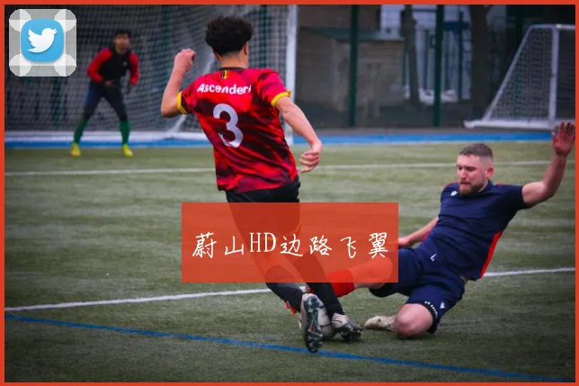 蔚山HD边路飞翼