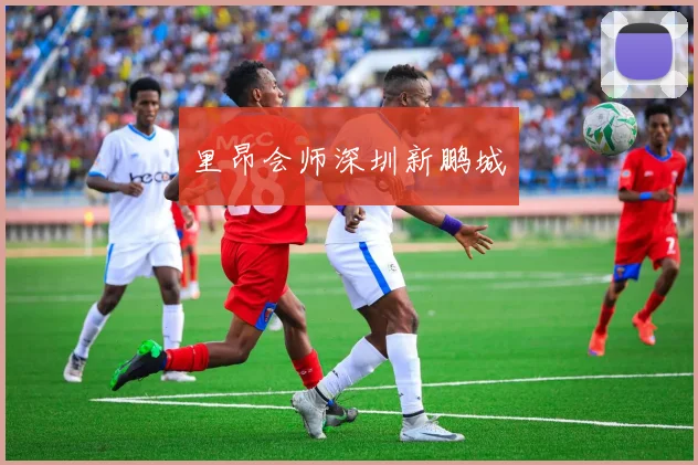 里昂会师深圳新鹏城