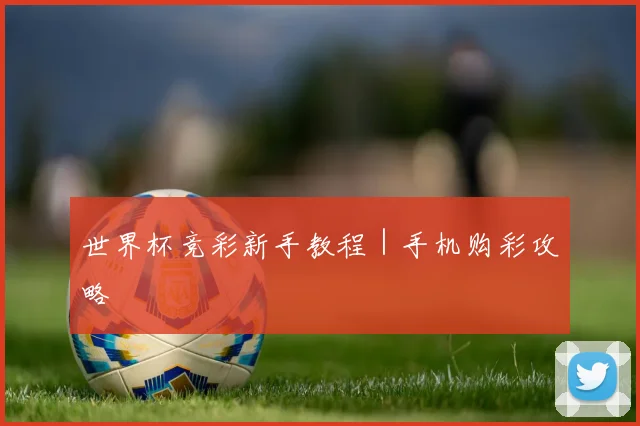 世界杯竞彩新手教程｜手机购彩攻略