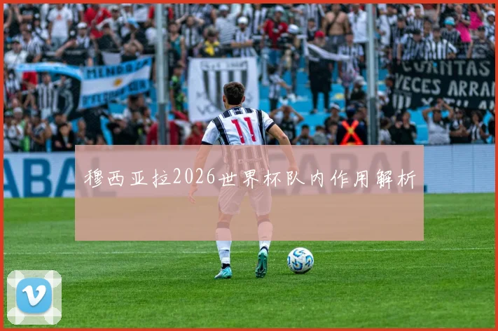 穆西亚拉2026世界杯队内作用解析