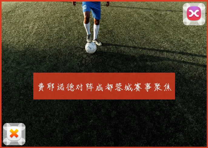 费耶诺德对阵成都蓉城赛事聚焦