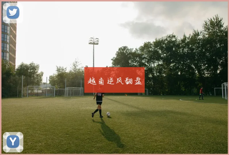 越南逆风翻盘