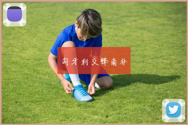 匈牙利交锋南非