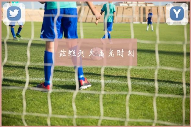 兹维列夫高光时刻