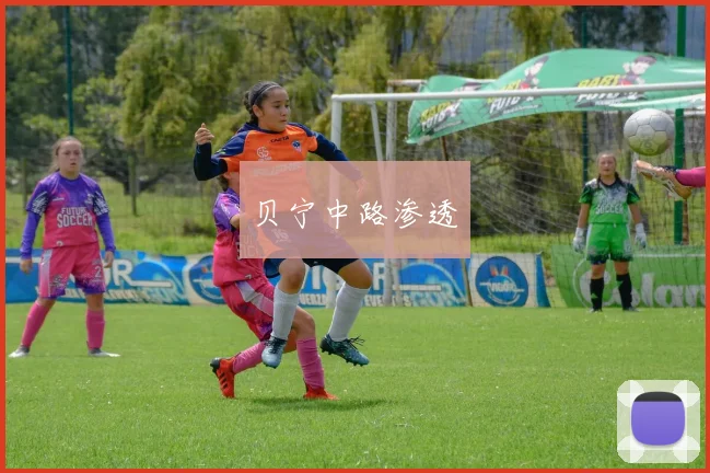 贝宁中路渗透