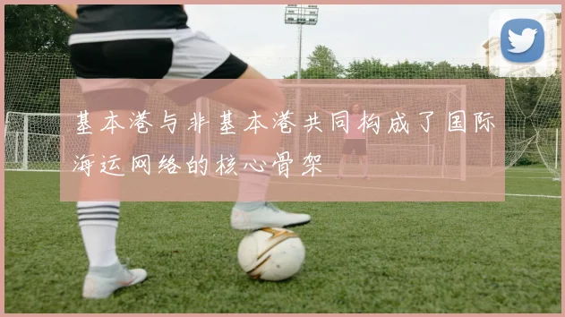 基本港与非基本港共同构成了国际海运网络的核心骨架