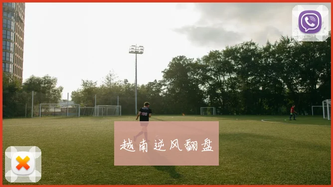 越南逆风翻盘