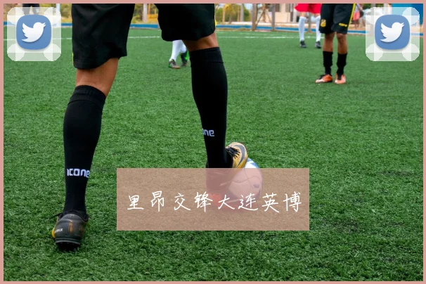 里昂交锋大连英博
