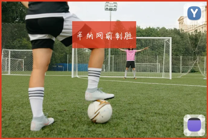 辛纳网前制胜