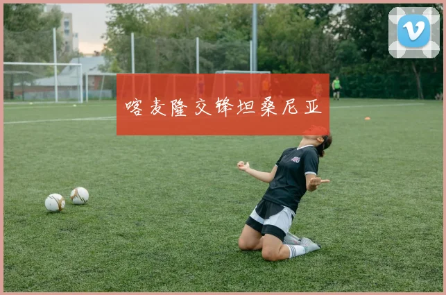 喀麦隆交锋坦桑尼亚