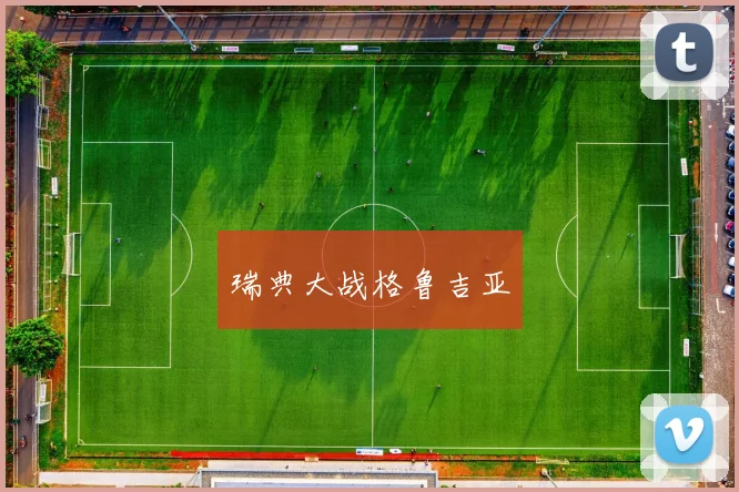 瑞典大战格鲁吉亚