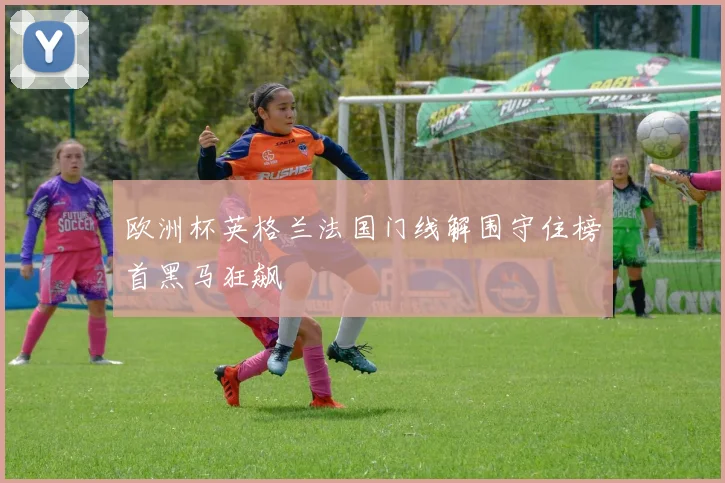 欧洲杯英格兰法国门线解围守住榜首黑马狂飙