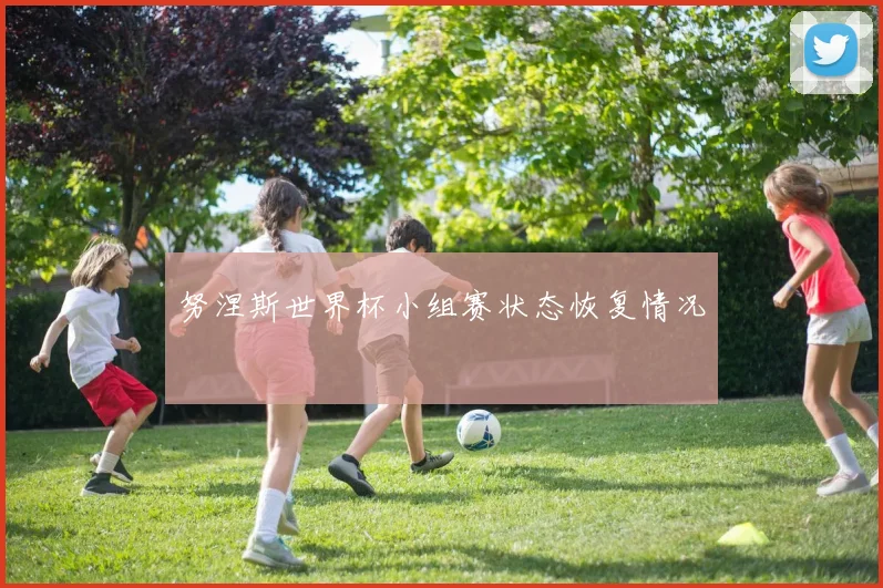 努涅斯世界杯小组赛状态恢复情况