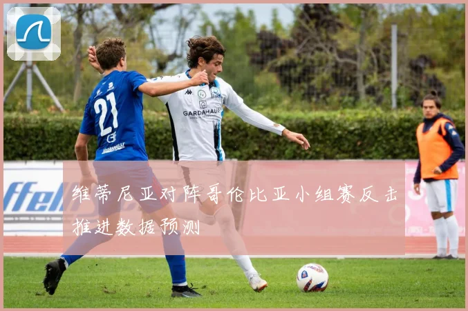 维蒂尼亚对阵哥伦比亚小组赛反击推进数据预测